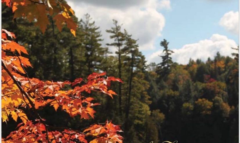 Fall 2021 Albany Episcopalian Issue